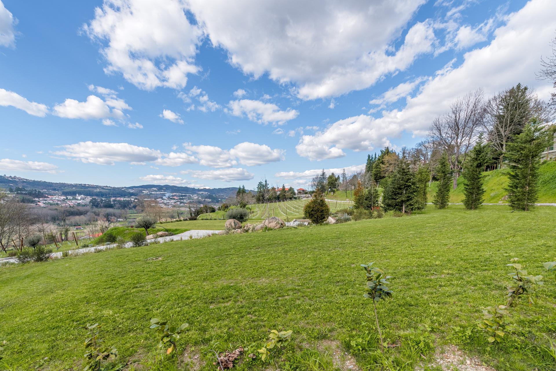 Farm in Felgueiras (85659) — photograph 4