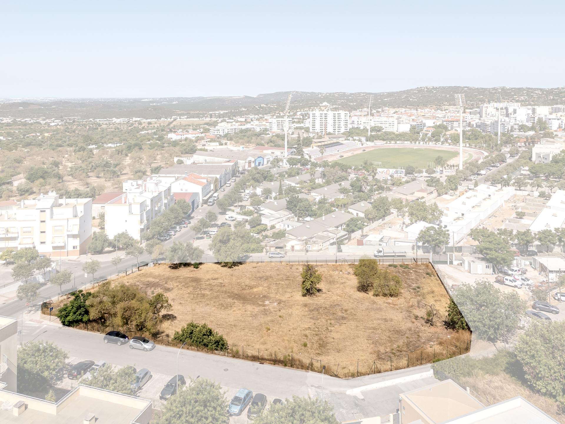 Land in Loulé (90640) — photograph 4