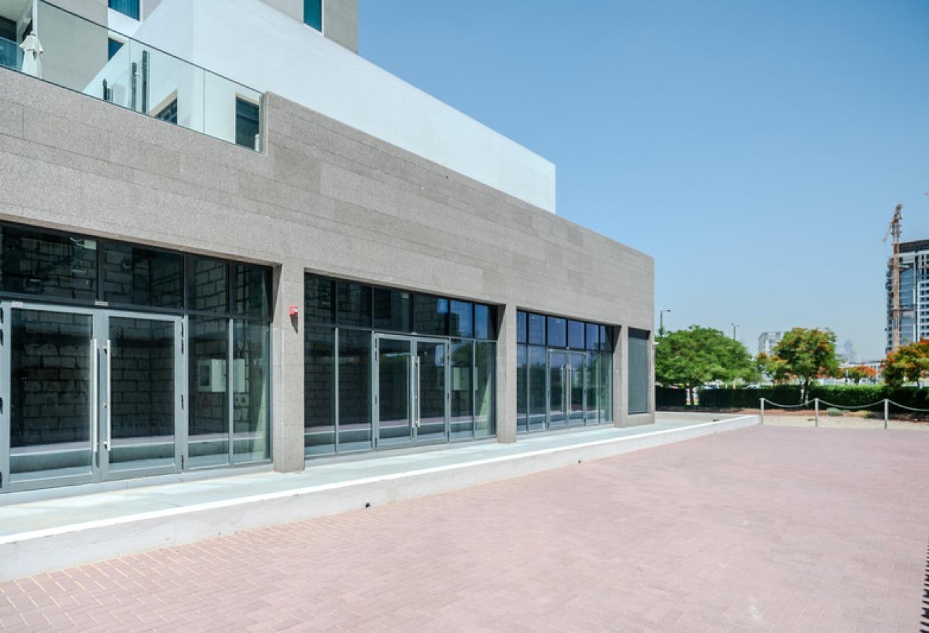 Azizi Greenfield — photograph 3